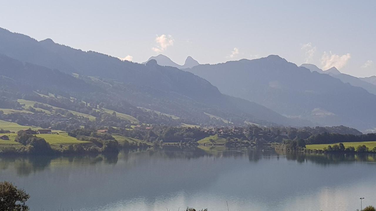 Le Châtelard-Montreux Petite Maison Sur La Colline Du Gibloux: 1Chambre,1 Salon Et Salle De Bain Prives Au Rez De Chausse, Piscine Exterieur Et Bbq , المظهر الخارجي الصورة